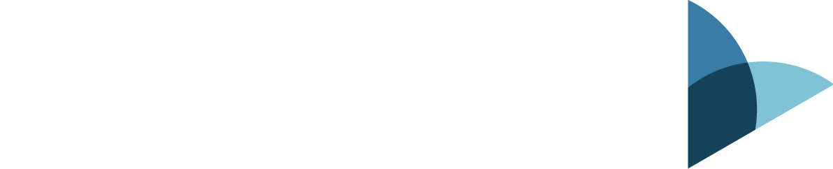 Vidatea